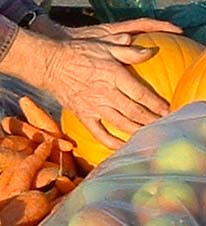 Nursery Plants, Garden Produce, Baked Goods